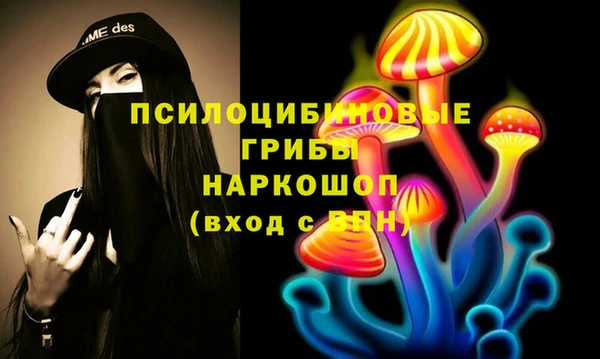 герыч Мегион