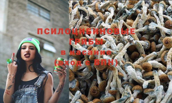 прущая мука Майский