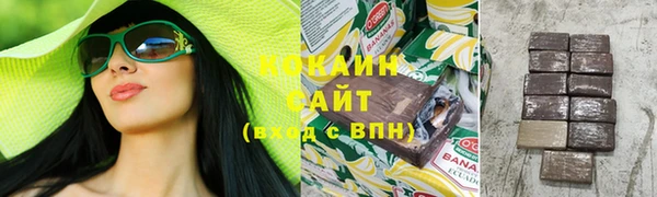 соль ск Медногорск