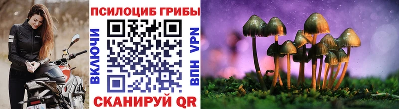 Галлюциногенные грибы Psilocybine cubensis  Купить  Советская Гавань 